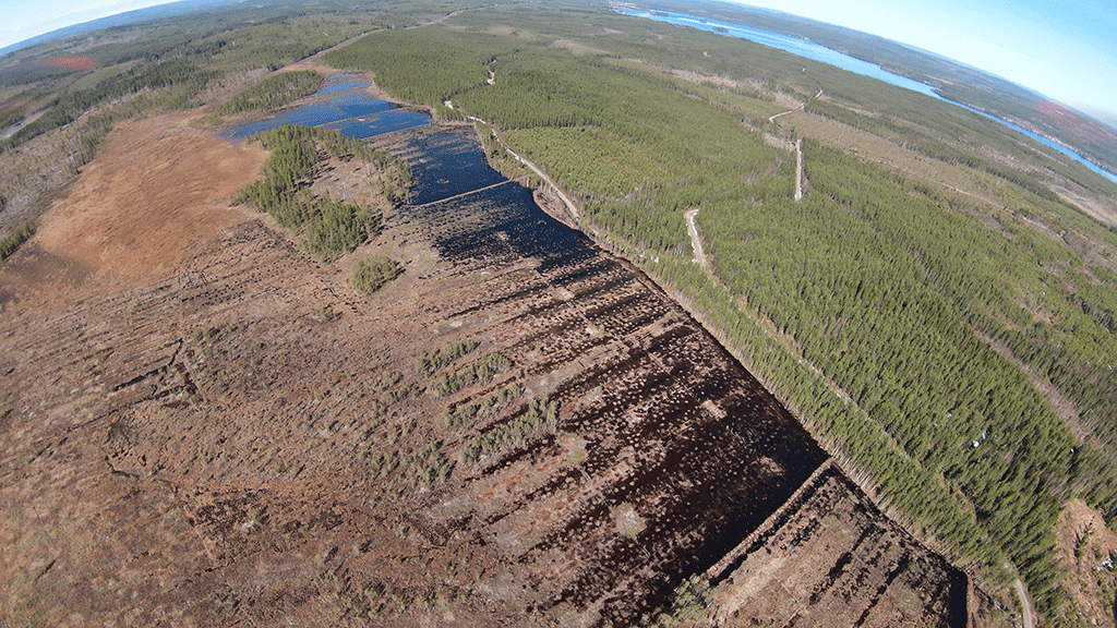Bild över PO myran Maj 2024