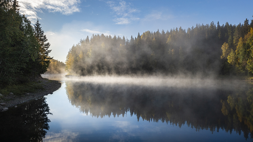 natur