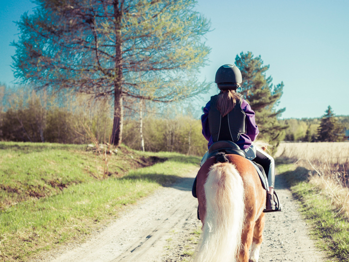 Flicka rider på en häst på en landsbygdsväg, solen skiner .