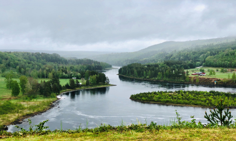 Nämforsen näsåker