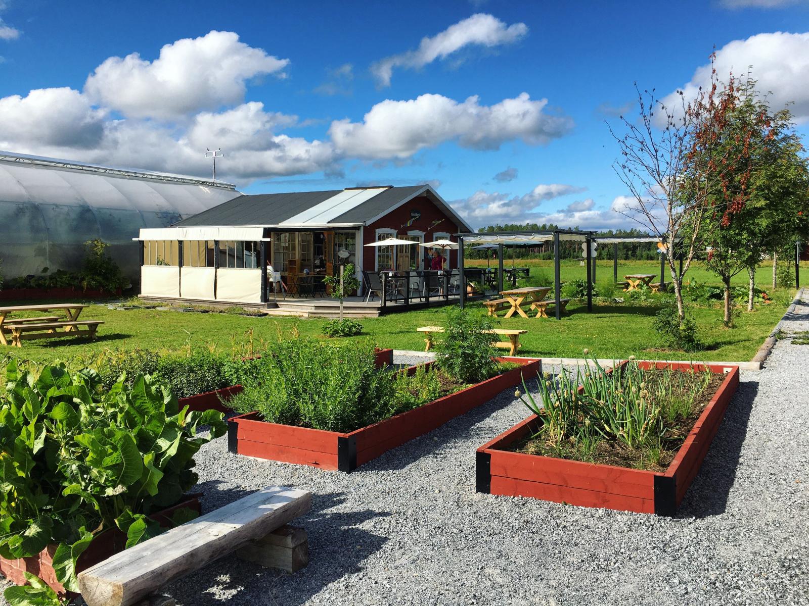 Bild på trädgården i Kvarnå