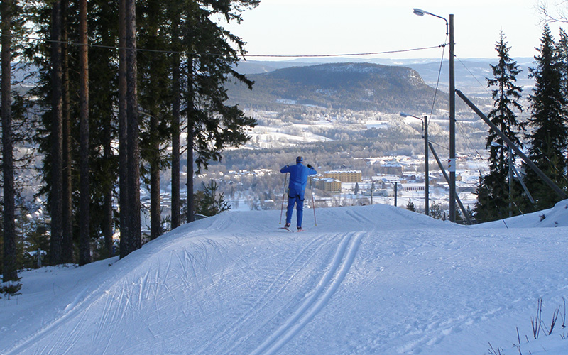 Längskidåkare på Hallstaberget, i bakgrunden vy över Sollefteå
