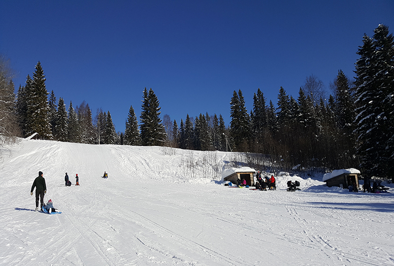 Pulkabacken vid Jan Gullik i strålande sol en vinterdag med pulkaåkare och grillning i vindskydden