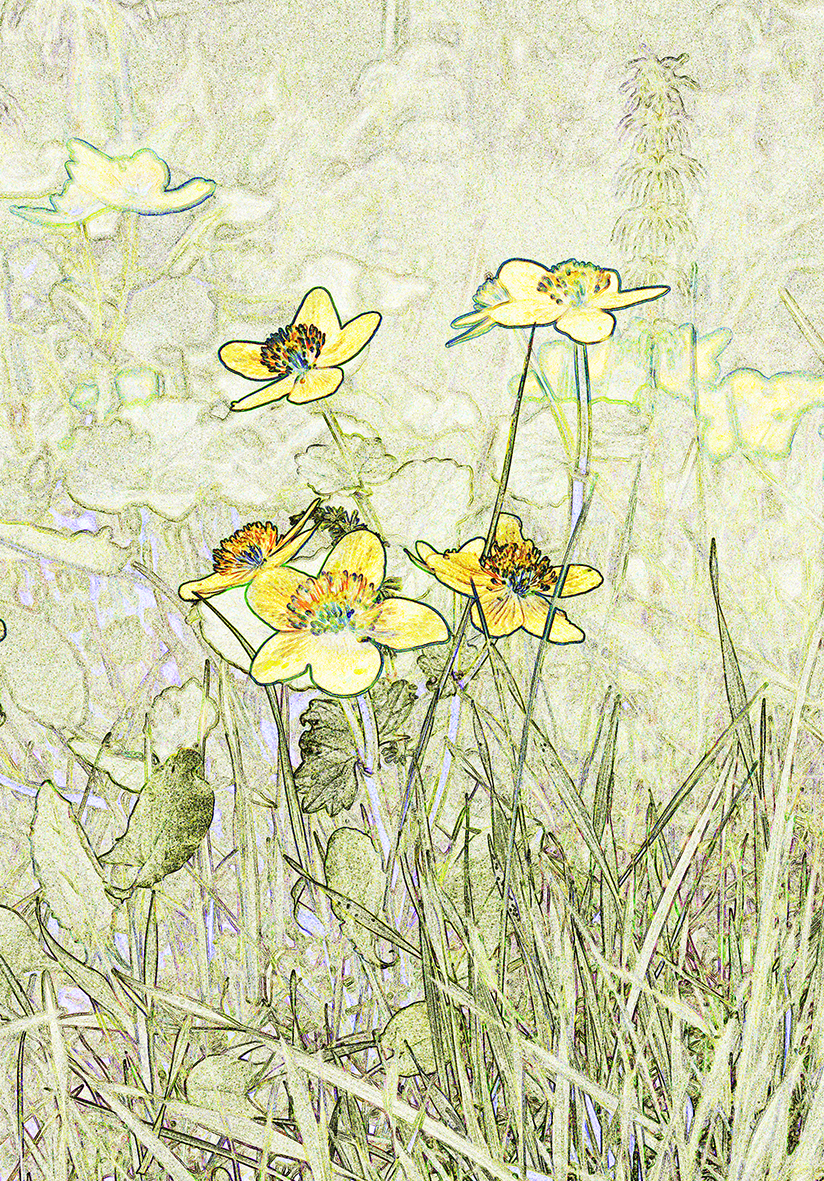 Läkande medicinalväxt