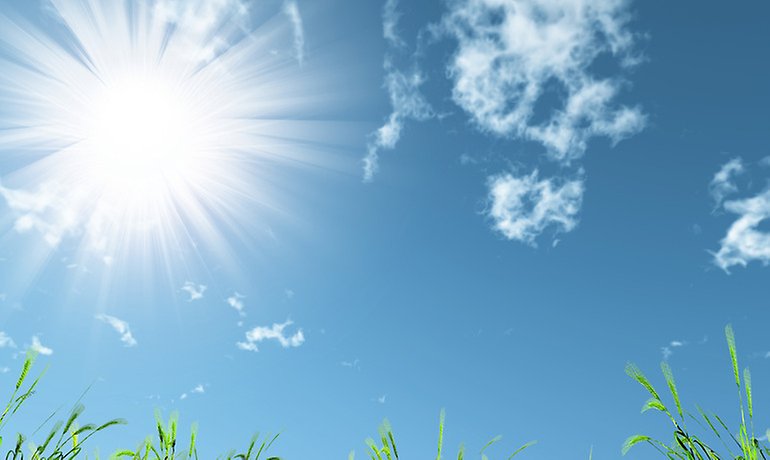 The sun and meadow. Bright beams of the sun above a picturesque meadow