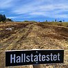 Välkommen till Hallstaski