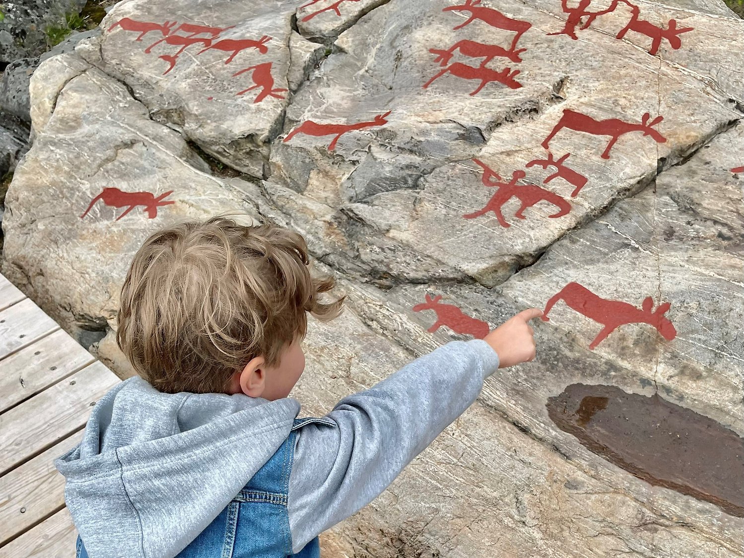 Hällristningar Nämforsen